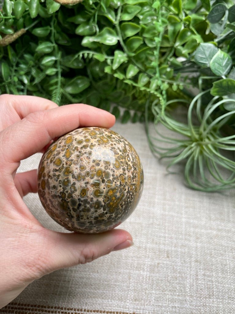 Leopard Skin Jasper Sphere | Copper Ashes