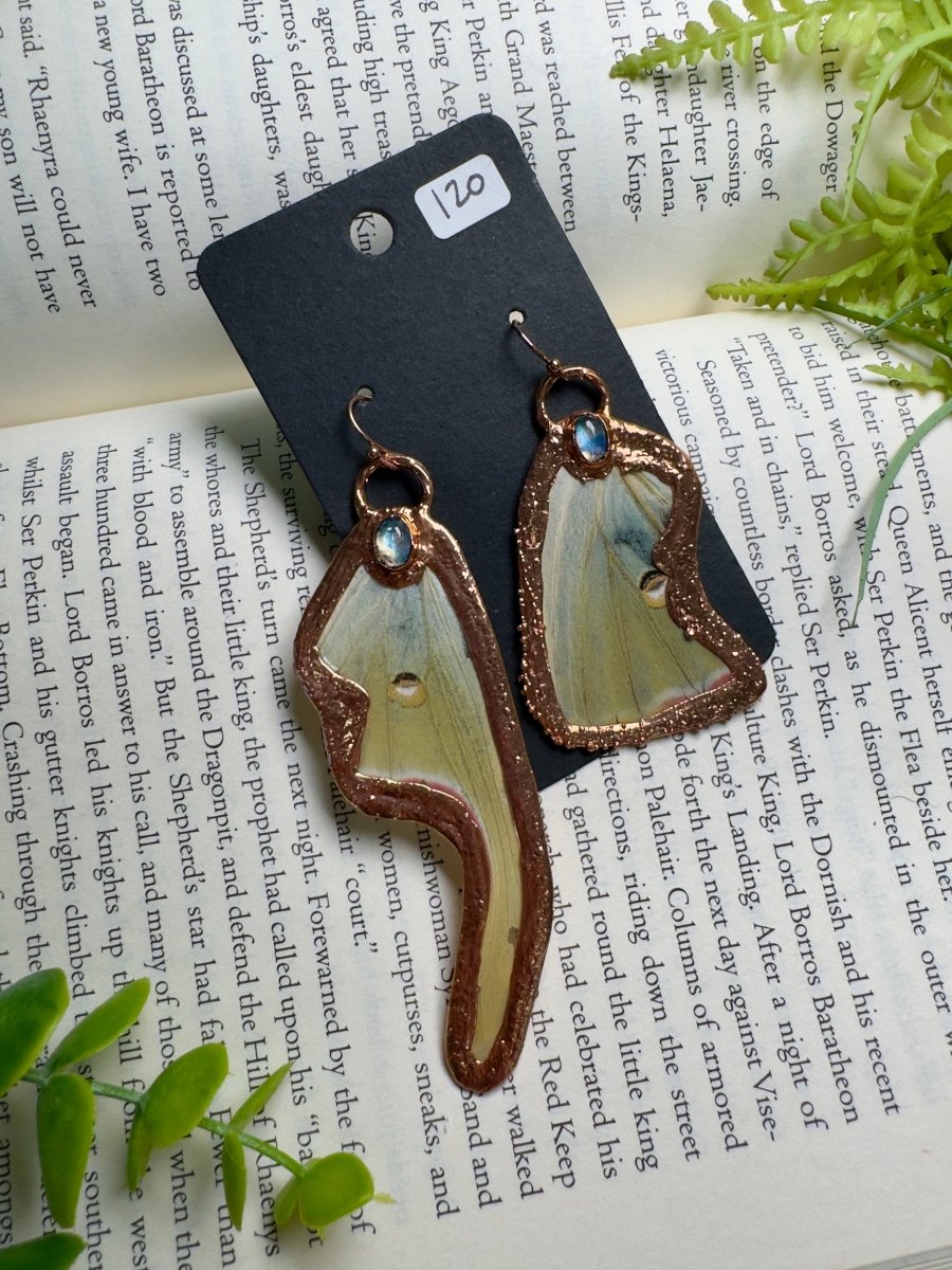 Luna Moth Wing and Moonstone Earrings | Copper Ashes
