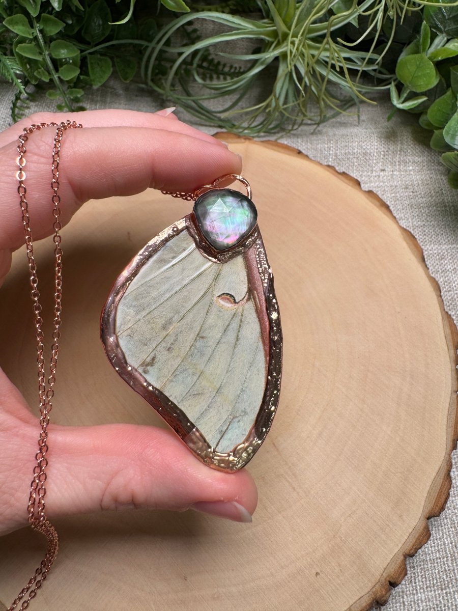 Luna Moth Wing and Mother of Pearl Shell Necklace | Copper Ashes