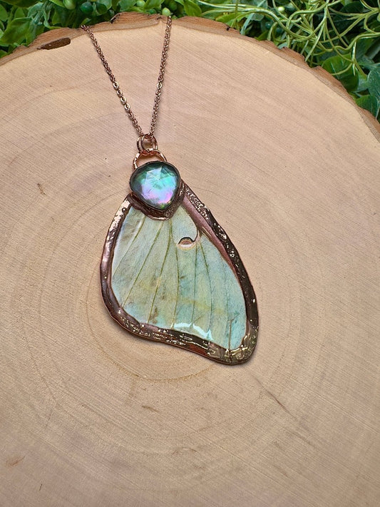 Luna Moth Wing and Mother of Pearl Shell Necklace | Copper Ashes