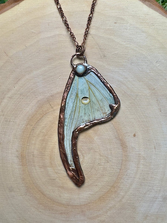 Luna Moth Wing and Shell Necklace | Copper Ashes