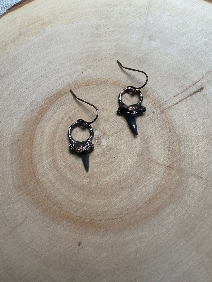 Malphas - Shark Tooth Earrings | Copper Ashes