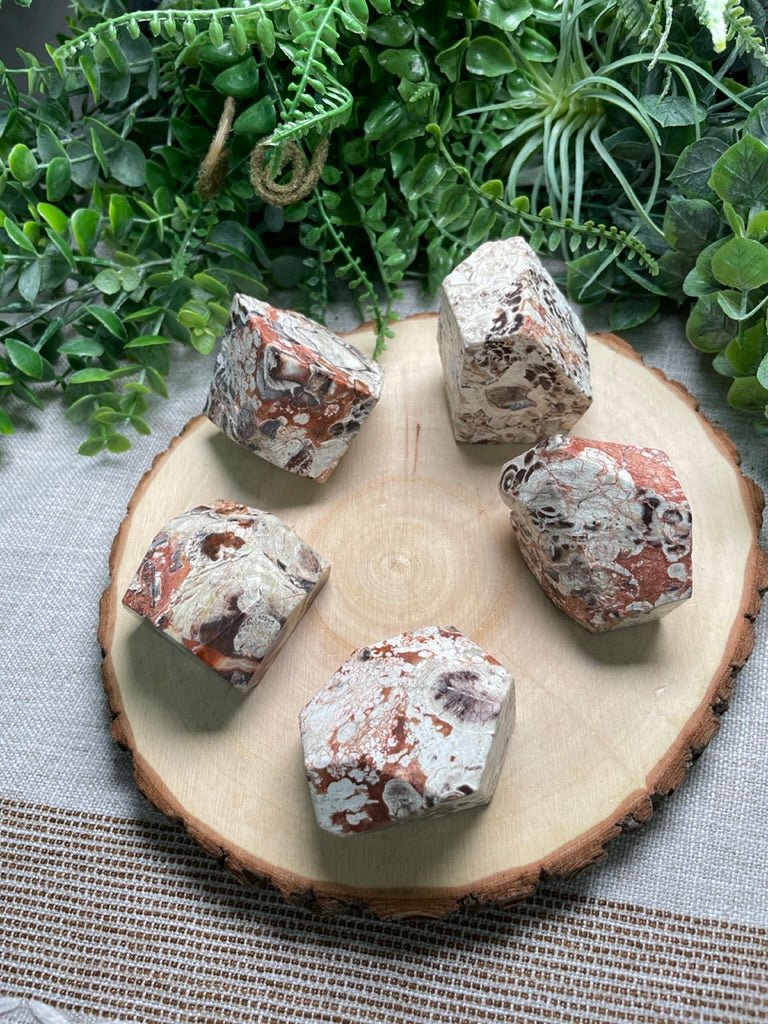 Money Agate Freeform | Copper Ashes