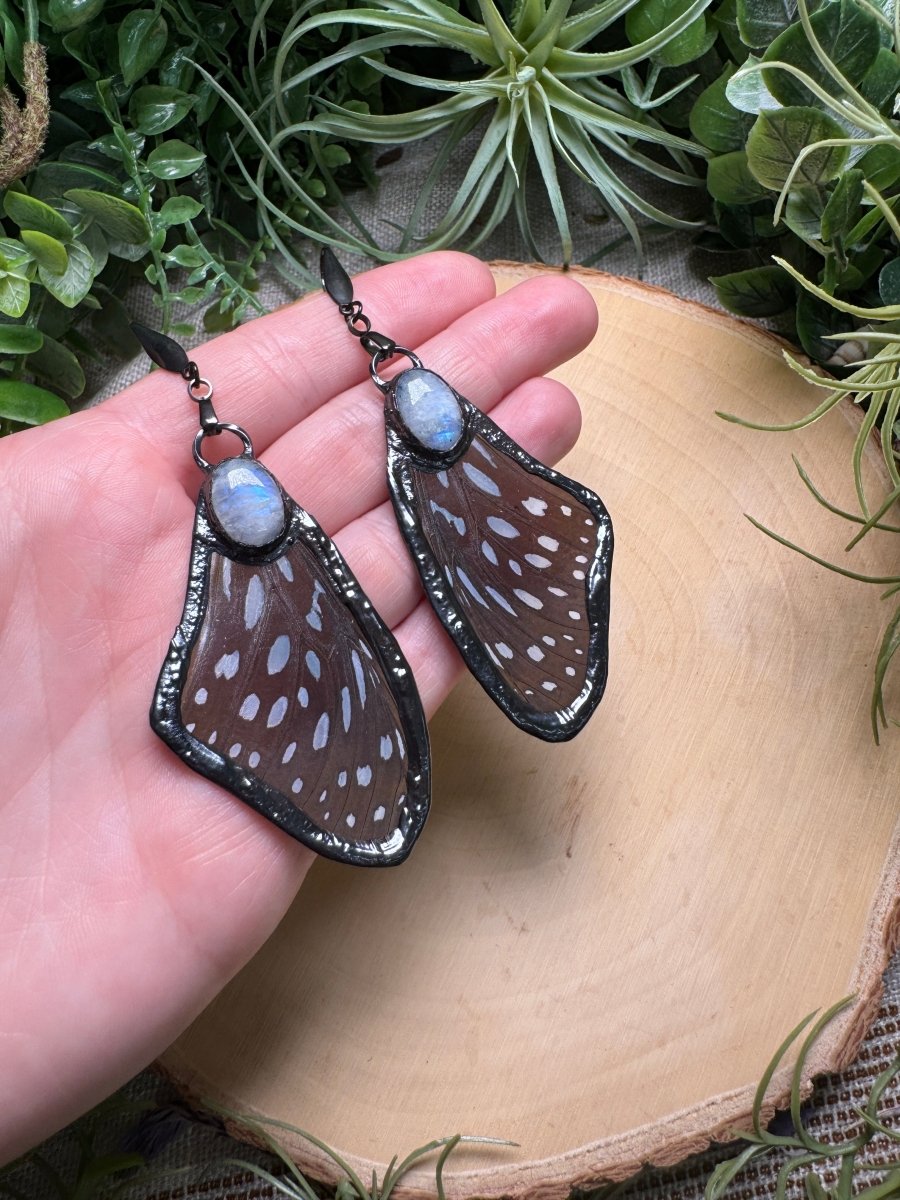 Moonstone and Butterfly Wing Earrings | Copper Ashes