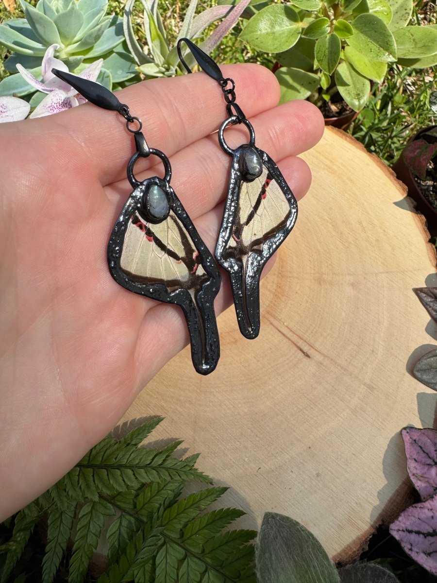 Moonstone and Butterfly Wing Earrings | Copper Ashes