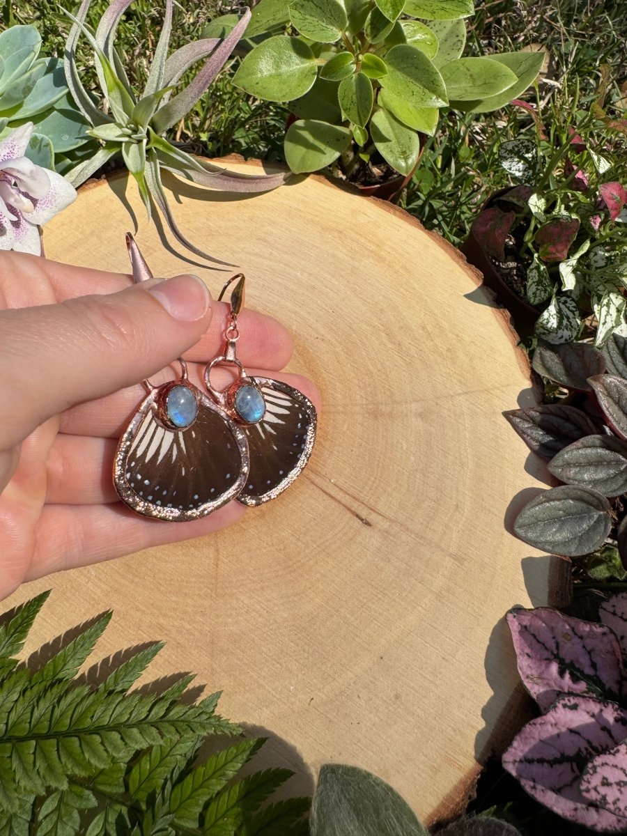 Moonstone and Butterfly Wing Earrings | Copper Ashes