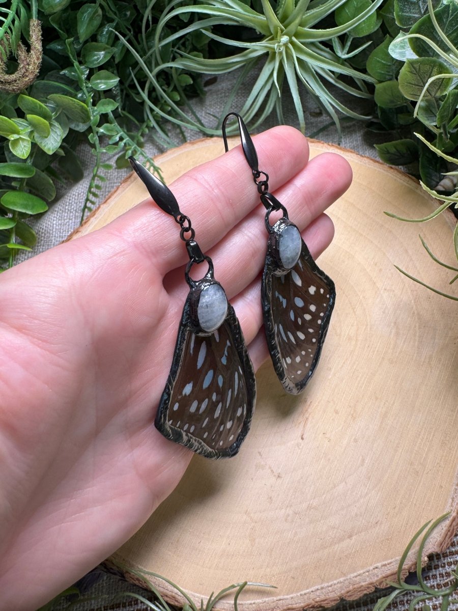 Moonstone and Butterfly Wing Earrings | Copper Ashes