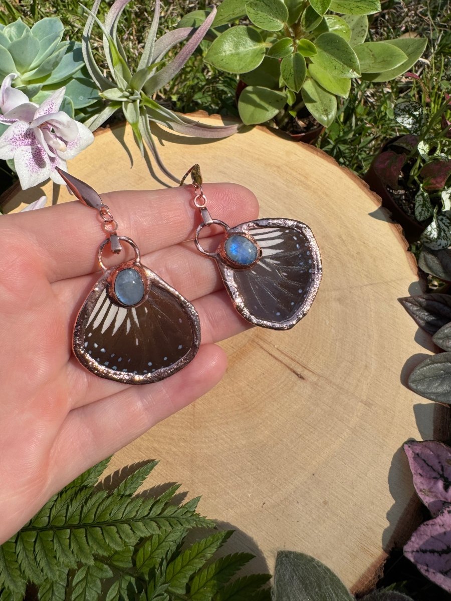 Moonstone and Butterfly Wing Earrings | Copper Ashes