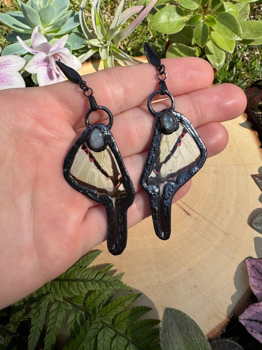 Moonstone and Butterfly Wing Earrings | Copper Ashes