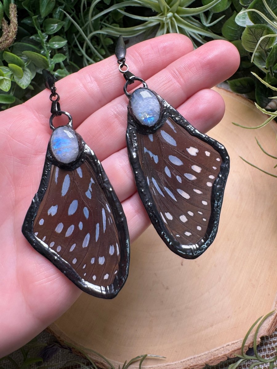 Moonstone and Butterfly Wing Earrings | Copper Ashes