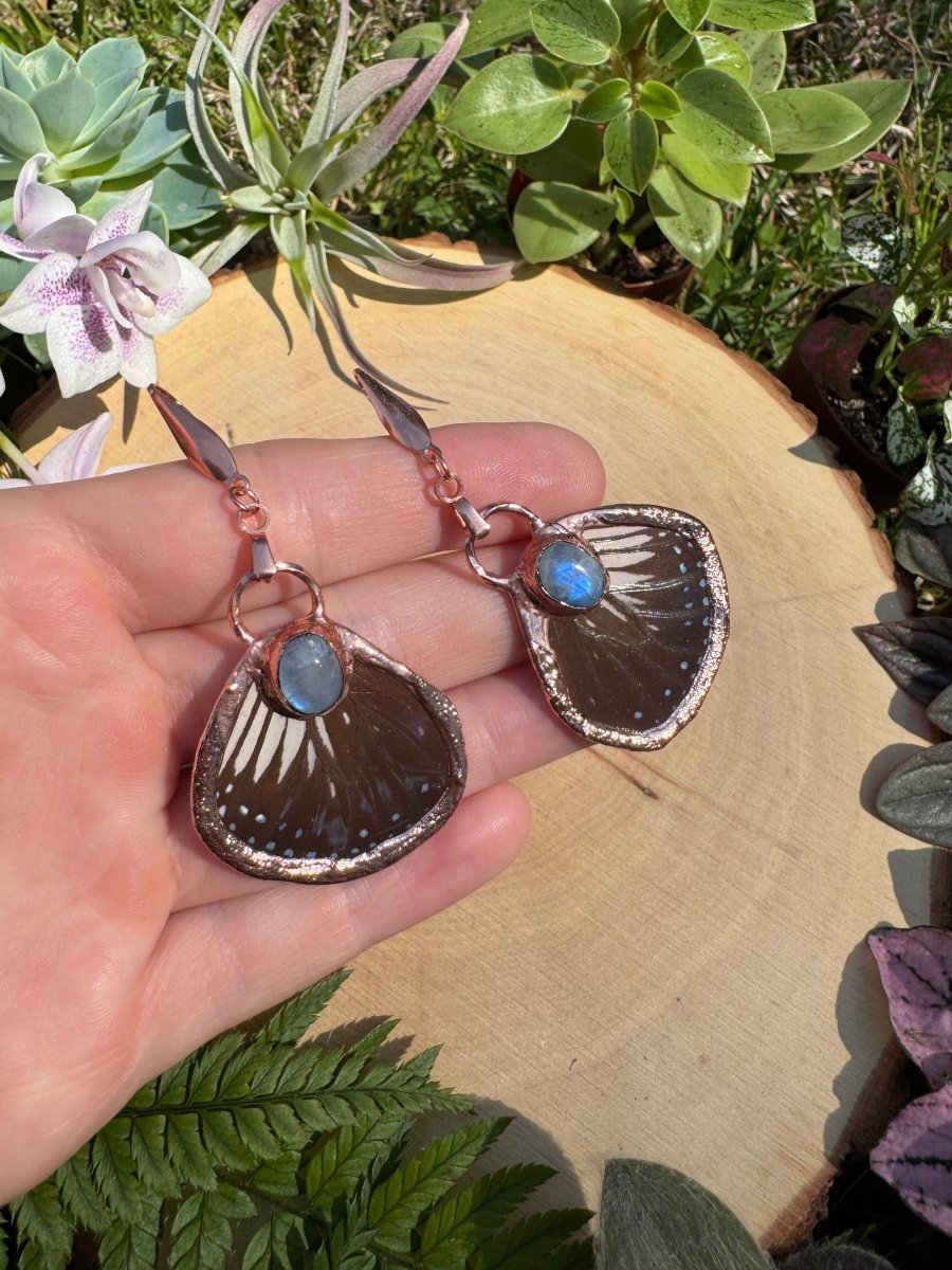 Moonstone and Butterfly Wing Earrings | Copper Ashes