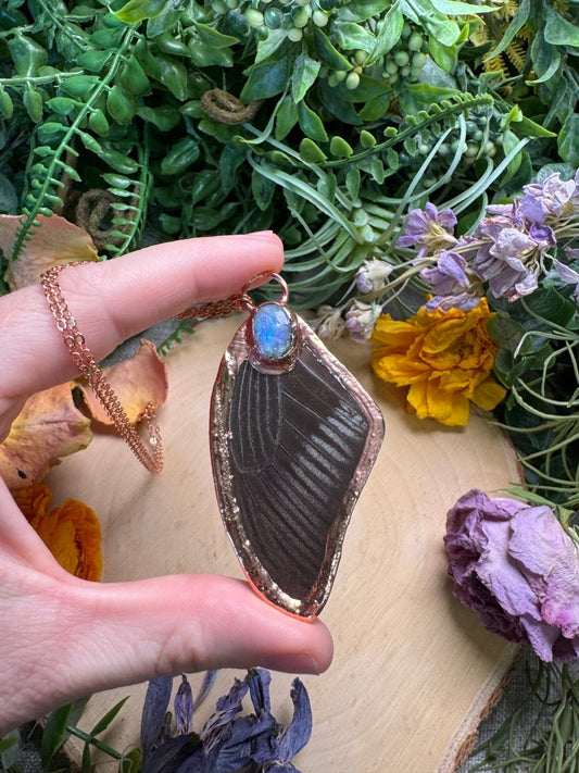 Moonstone and Butterfly Wing Necklace | Copper Ashes