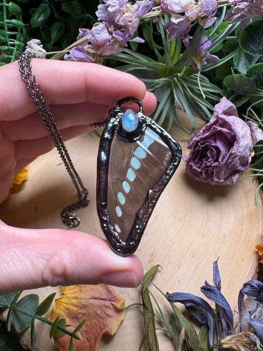 Moonstone and Butterfly Wing Necklace | Copper Ashes