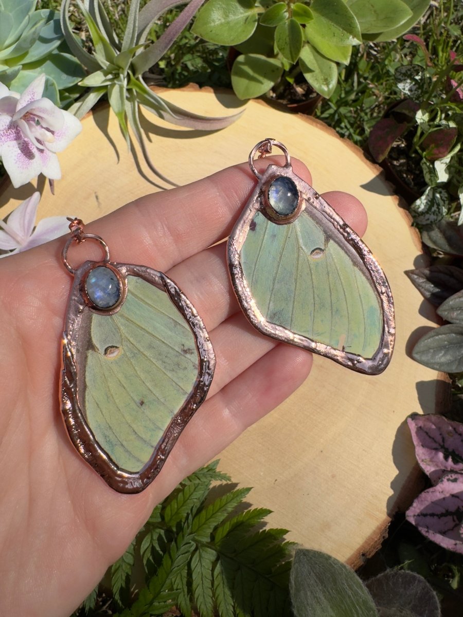 Moonstone and Luna Moth Wing Earrings | Copper Ashes