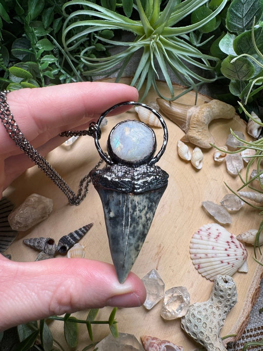 Moonstone and Shark's Tooth Necklace | Copper Ashes
