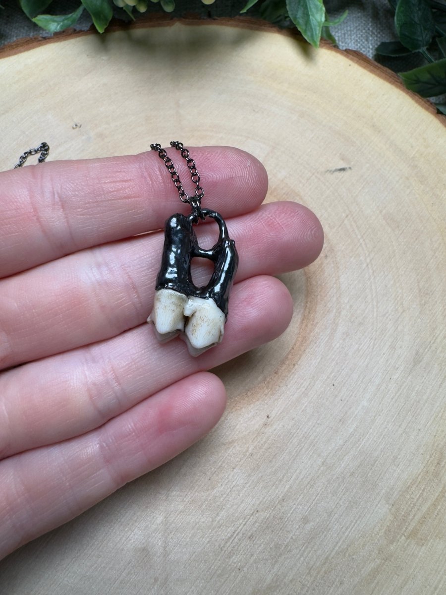 Morwen - Deer Tooth Necklace | Copper Ashes