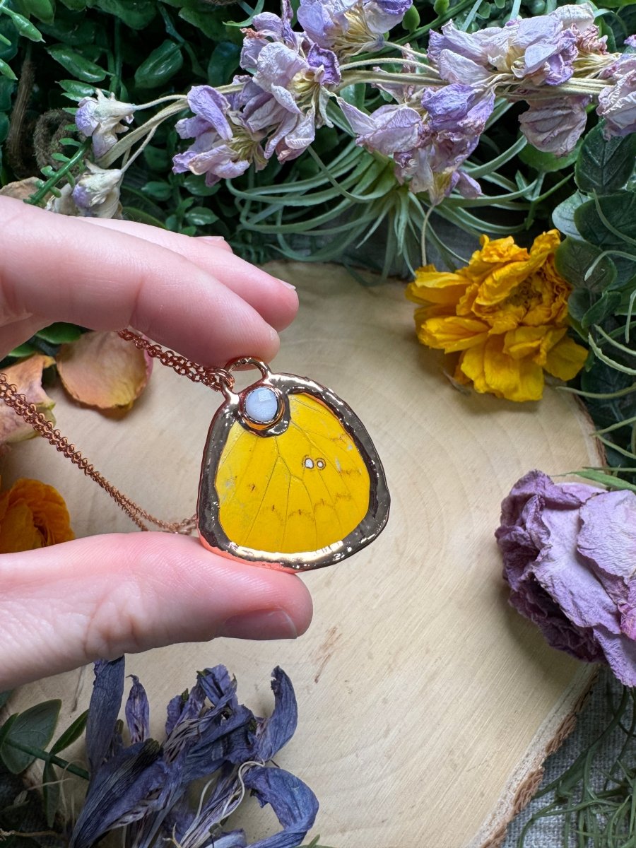 Mother of Pearl Shell and Butterfly Wing Necklace | Copper Ashes