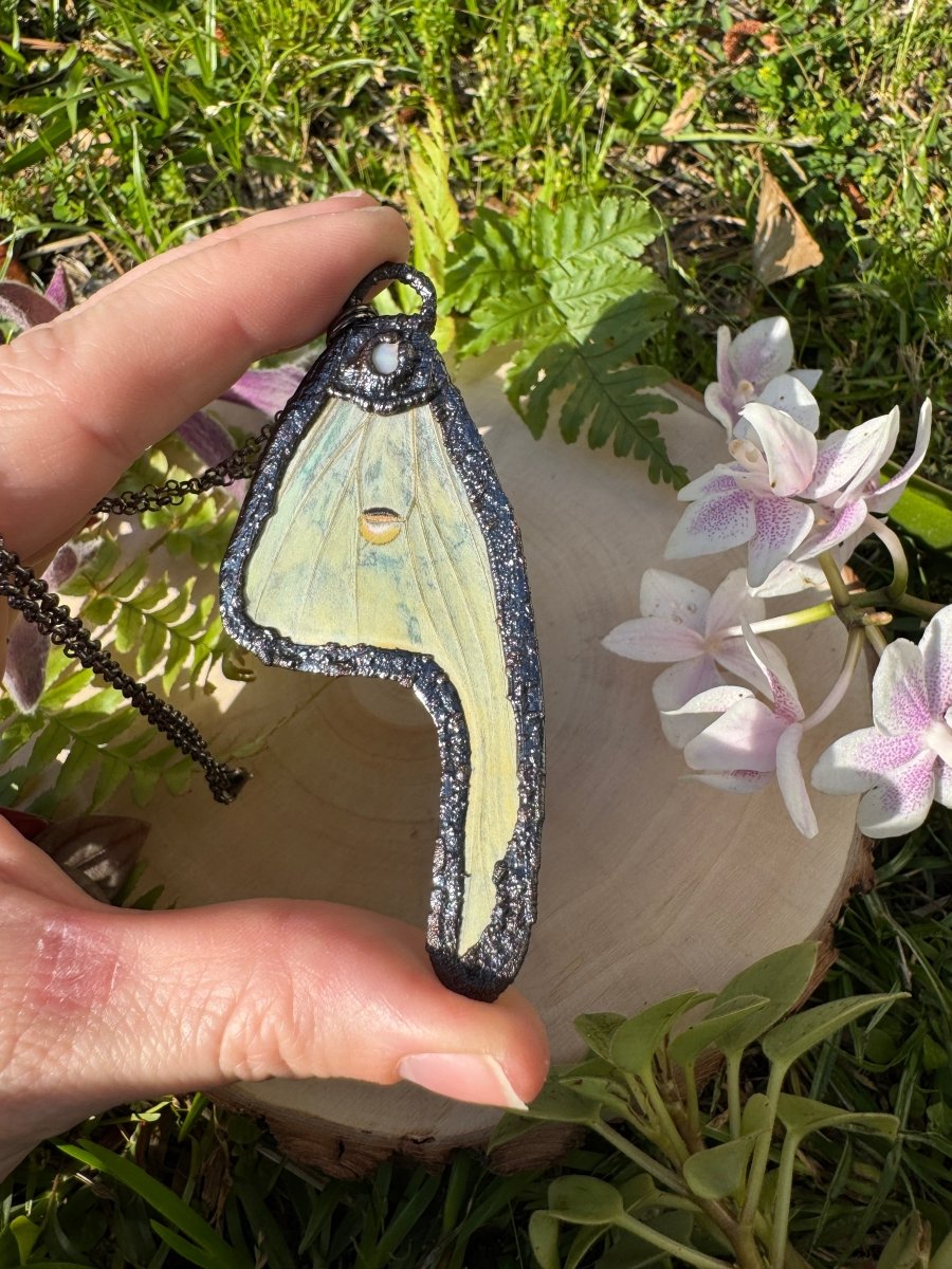 Mother of Pearl Shell and Luna Moth Wing Necklace | Copper Ashes