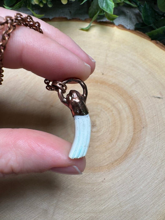 Muskrat Tooth Necklace | Copper Ashes