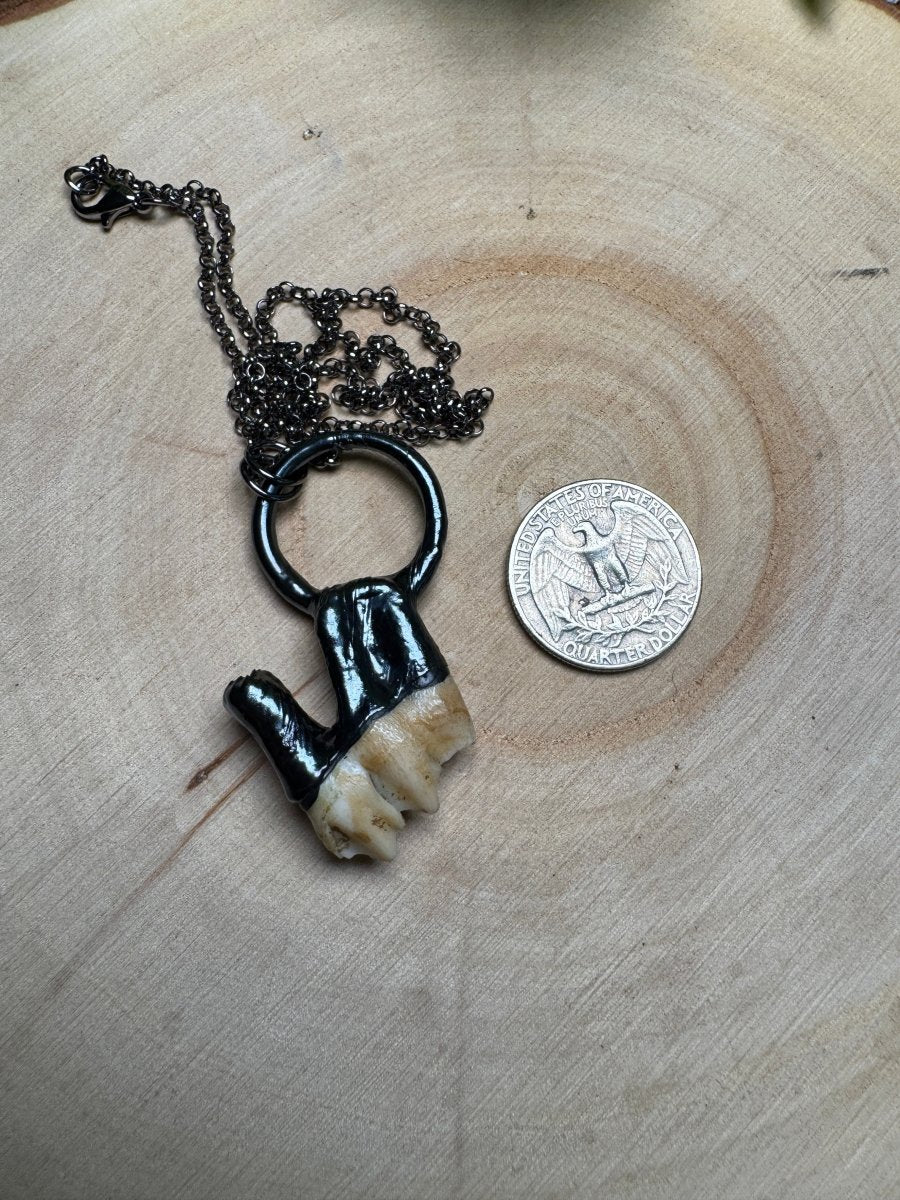 Nyx - Deer Tooth Necklace | Copper Ashes