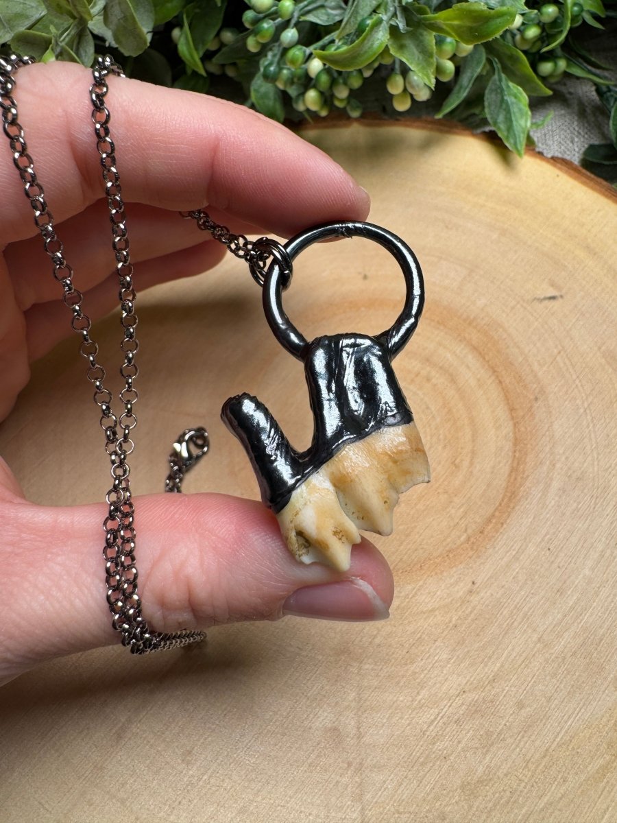 Nyx - Deer Tooth Necklace | Copper Ashes
