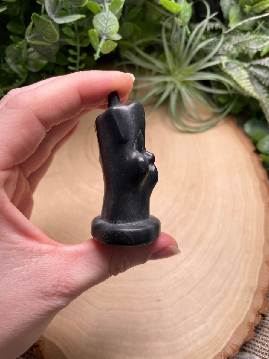 Obsidian Cartoon Chicken | Copper Ashes