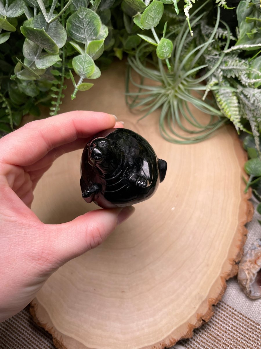 Obsidian Chubby Leopard | Copper Ashes