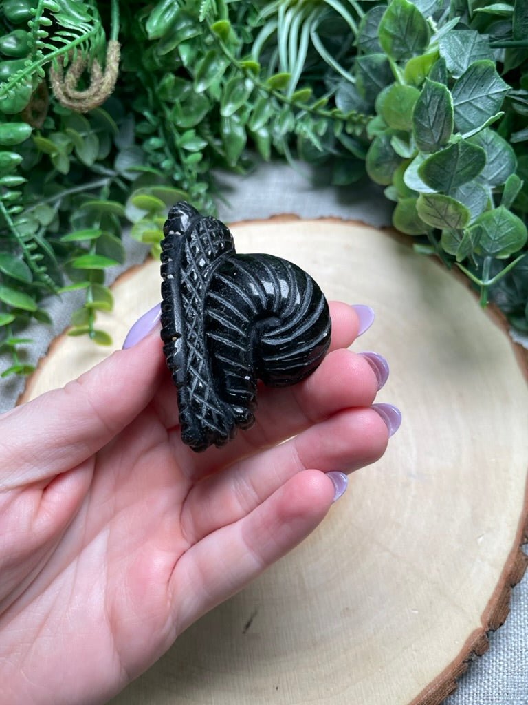 Obsidian Snail (chipped) | Copper Ashes
