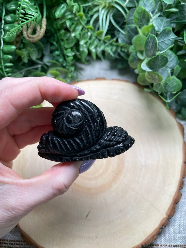 Obsidian Snail (chipped) | Copper Ashes