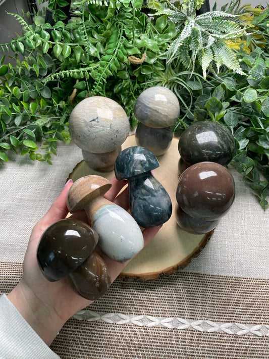 Ocean Jasper Mushroom | Copper Ashes