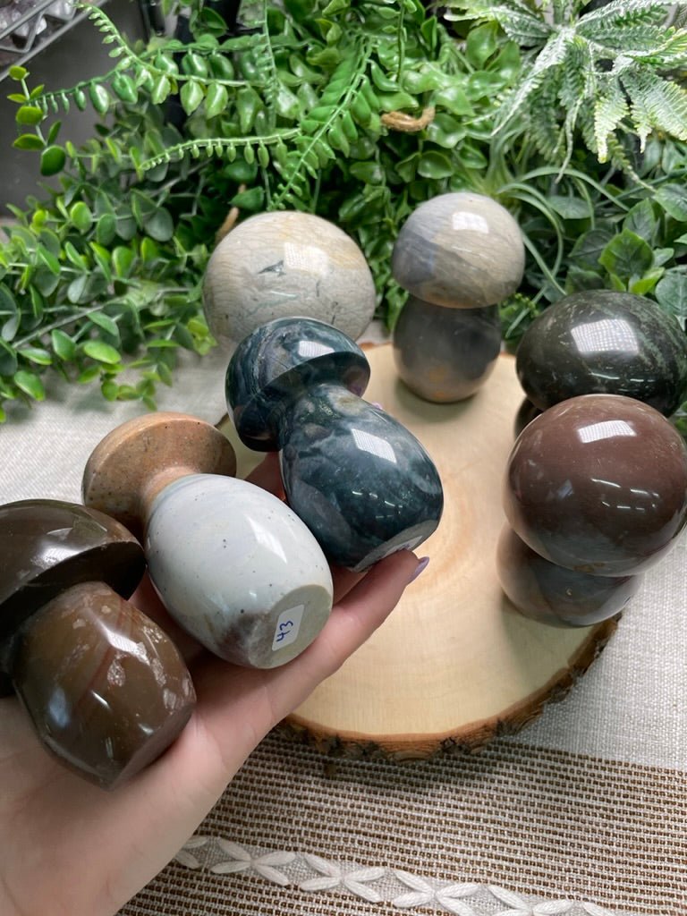 Ocean Jasper Mushroom | Copper Ashes