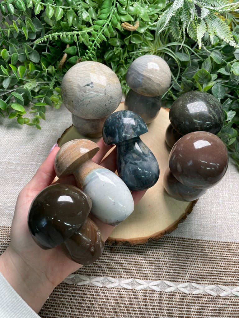 Ocean Jasper Mushroom | Copper Ashes