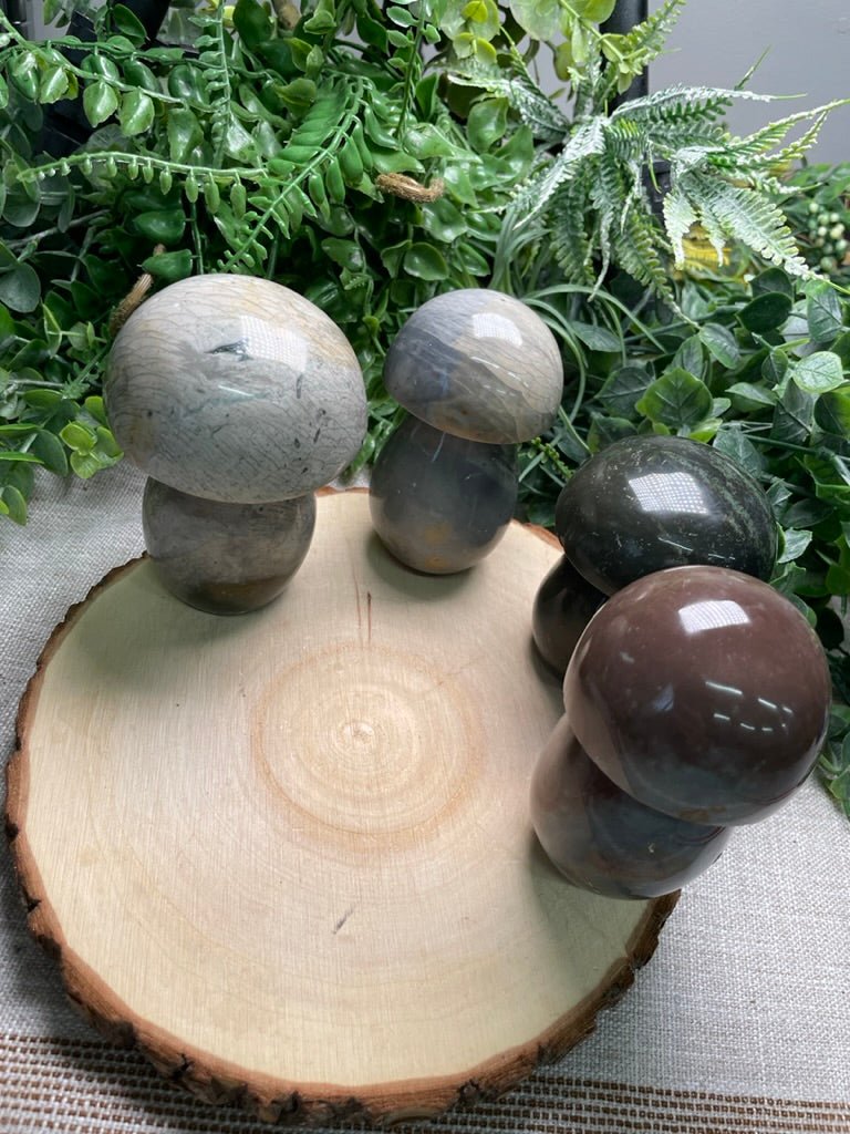 Ocean Jasper Mushroom | Copper Ashes