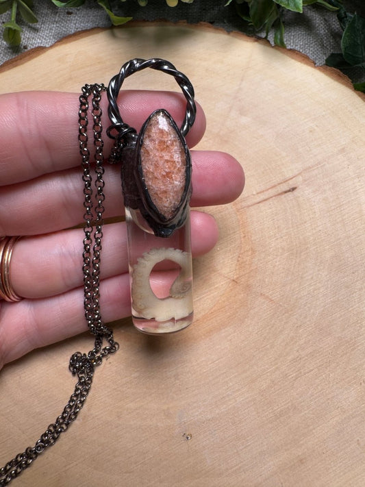 Octopus Tentacle Wet Specimen and Sunstone Necklace | Copper Ashes