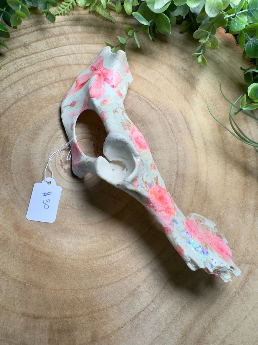 Pelvis Bone Piece- Hand Decorated | Copper Ashes