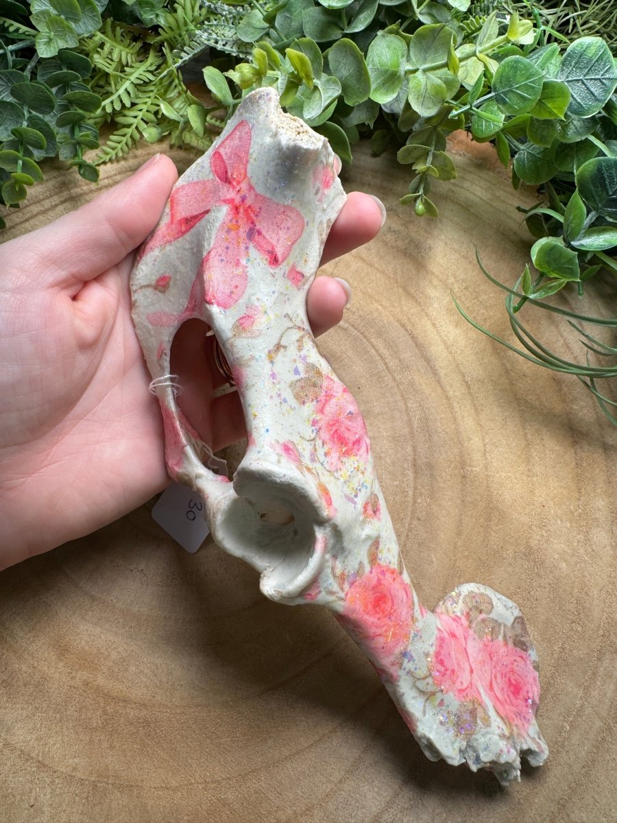 Pelvis Bone Piece- Hand Decorated | Copper Ashes