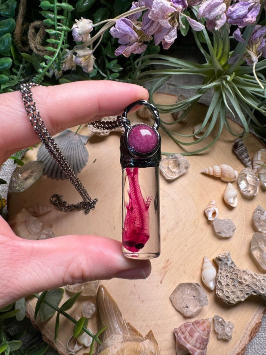 Pink Aventurine and Minnow Oddity Vial Necklace | Copper Ashes