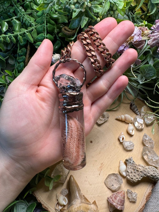 Quartz and Starfish Arm Oddity Vial Necklace | Copper Ashes