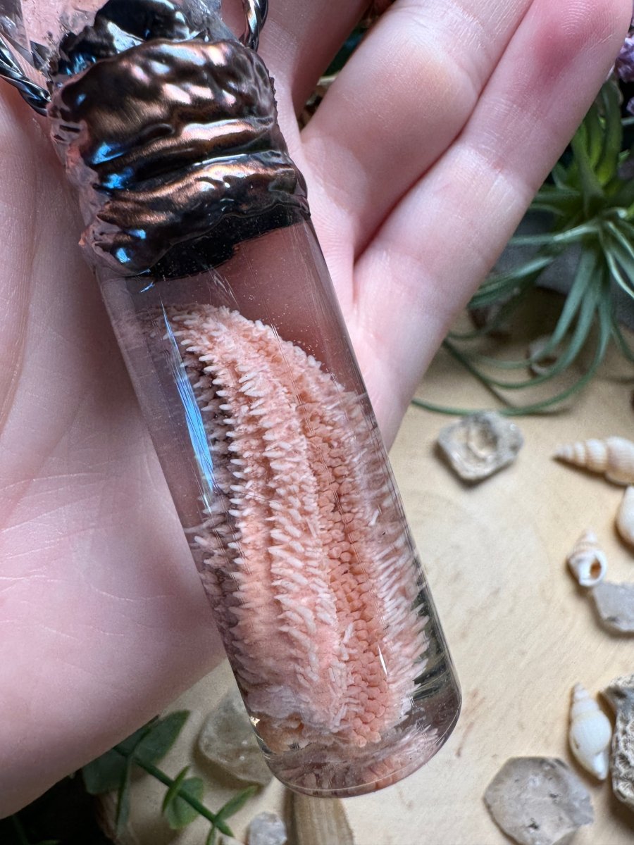 Quartz and Starfish Arm Oddity Vial Necklace | Copper Ashes
