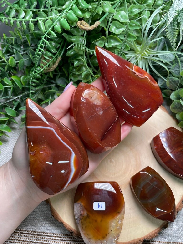 Red Agate Freeform | Copper Ashes