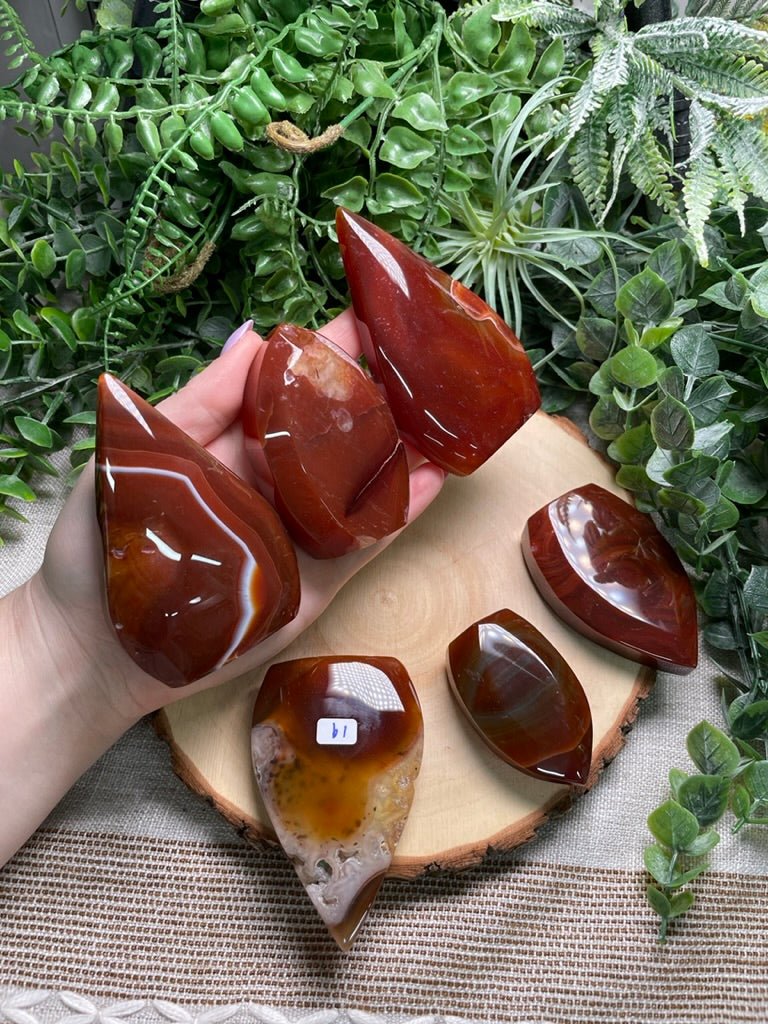 Red Agate Freeform | Copper Ashes