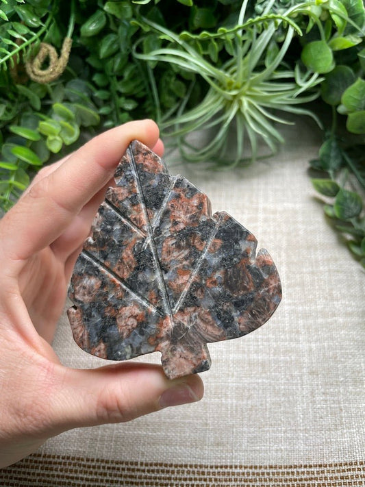 Red Que Sera Leaf | Copper Ashes