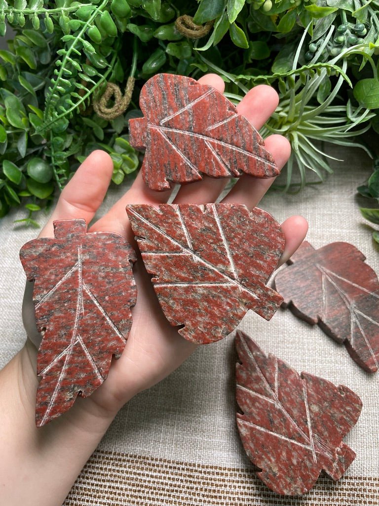 Red Que Sera Leaf | Copper Ashes