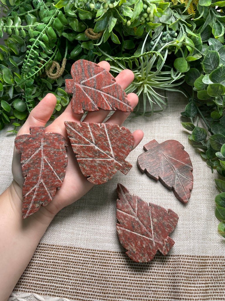 Red Que Sera Leaf | Copper Ashes