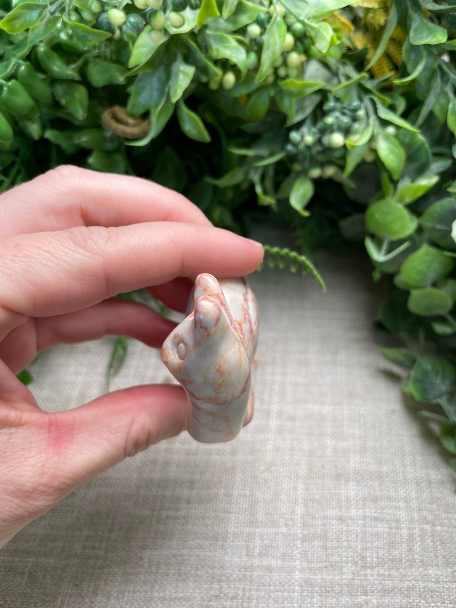 Red Vein Jasper Cat Snail | Copper Ashes