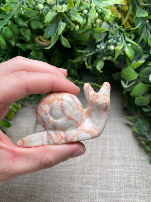 Red Vein Jasper Cat Snail | Copper Ashes