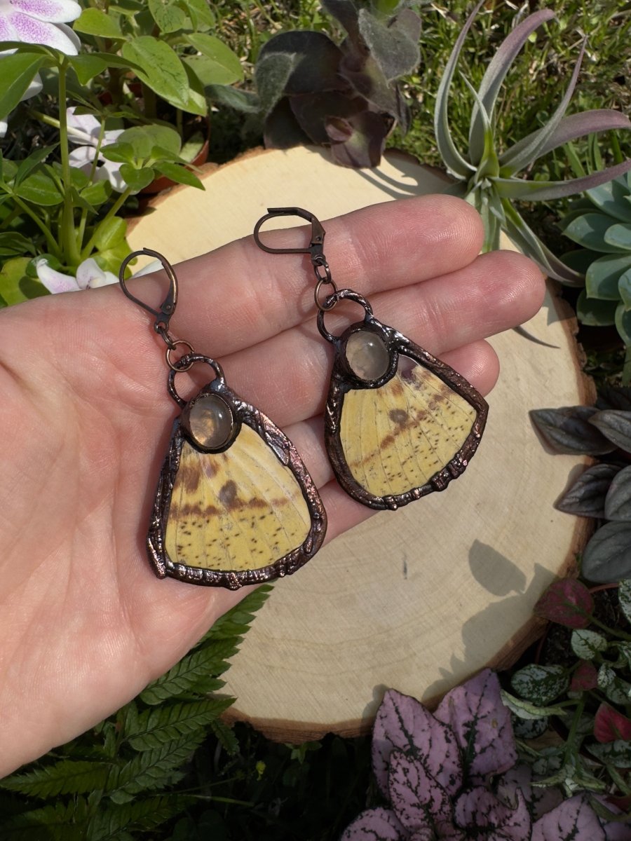 Rose Quartz and Imperial Moth Wing Earrings | Copper Ashes