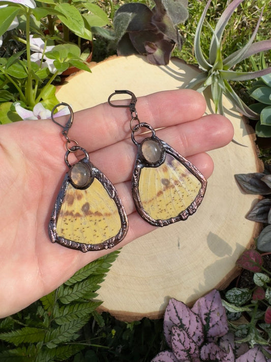 Rose Quartz and Imperial Moth Wing Earrings | Copper Ashes