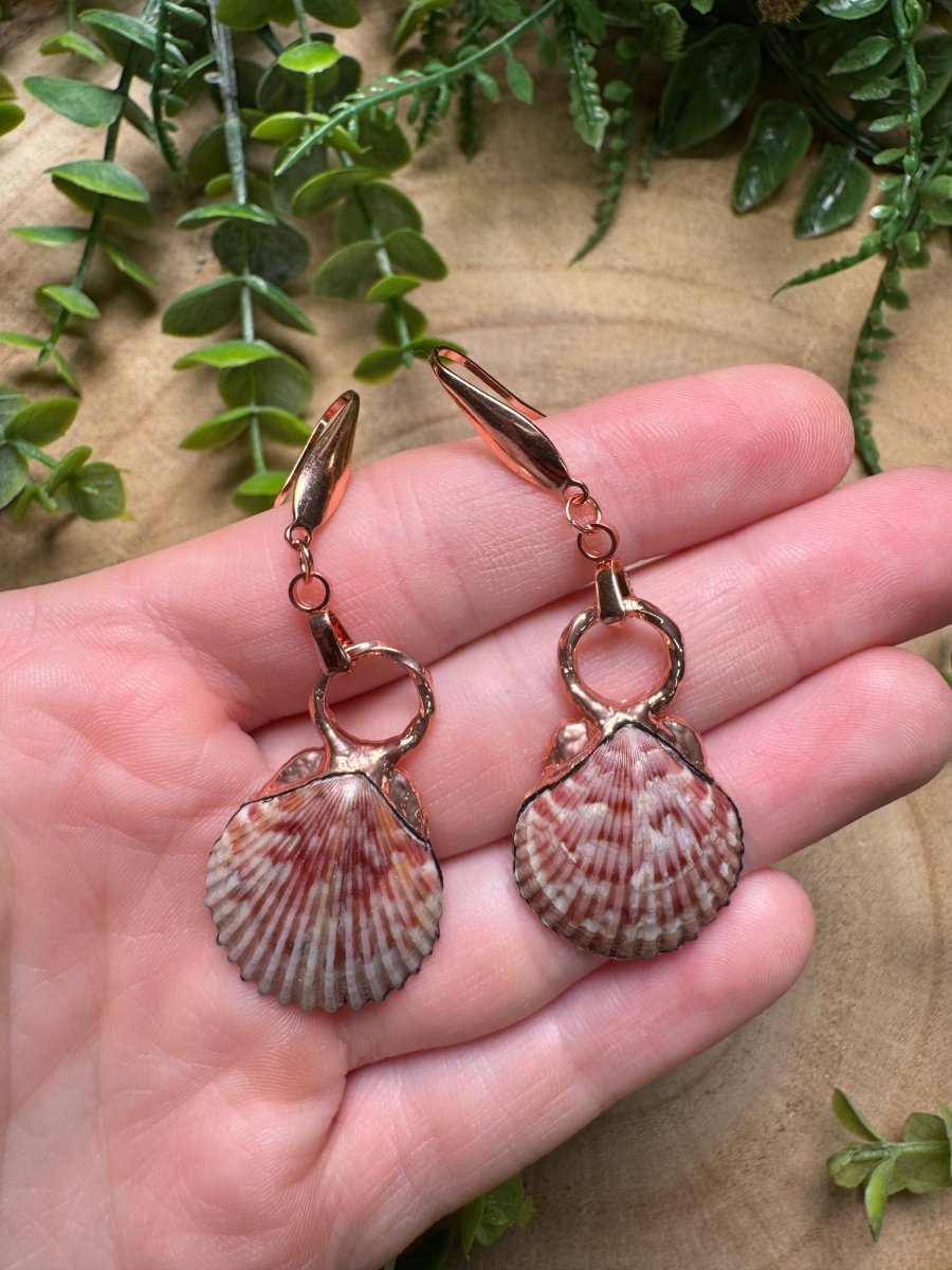 Scallop Shell Earrings | Copper Ashes