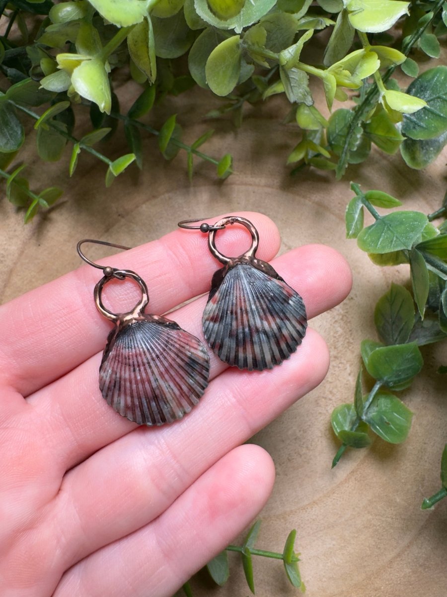 Scallop Shell Earrings | Copper Ashes